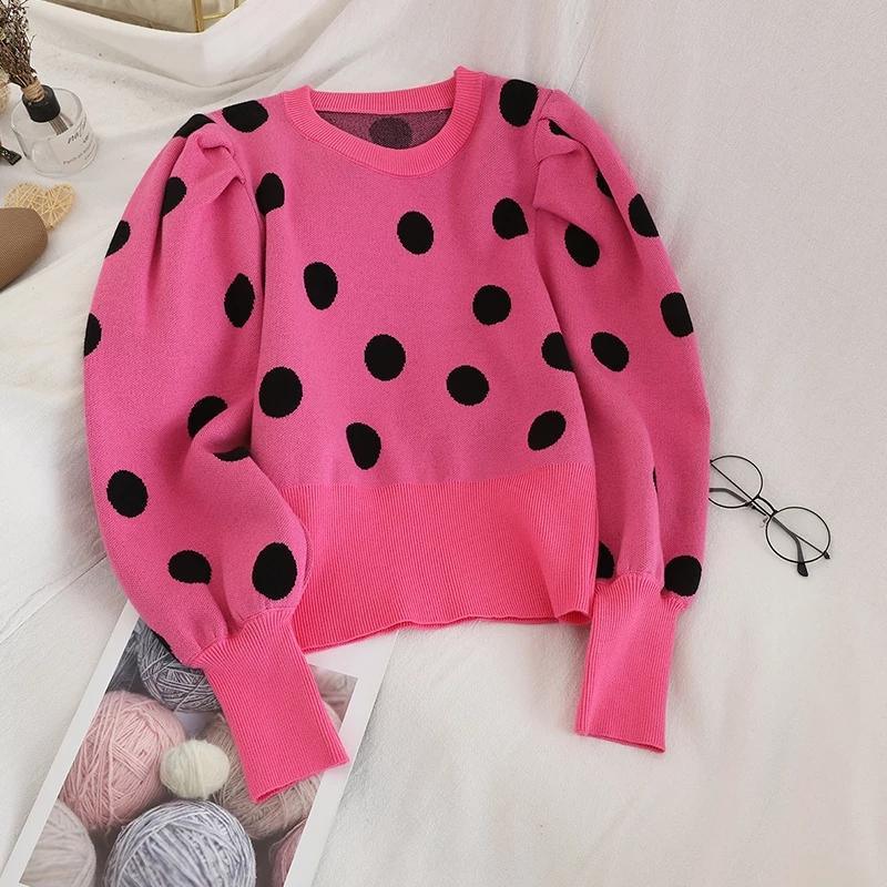 Polka Fanatic Sweaters